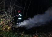 Klęczany – pożar gałęzi na skraju lasu