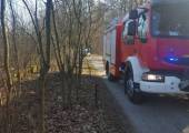 Nowy Sącz, ul. Grabowa –pożar suchej trawy
