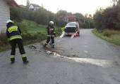 Zagorzyn – samochód uderzył w ogrodzenie
