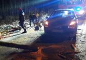 Usuwanie skutków silnego wiatru na Sądecczyźnie
