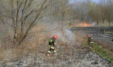 Pożar trawy w Nowym Sączu (Podwale) -8.04.2018