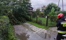 Nowy Sącz, ul. Dunikowskiego