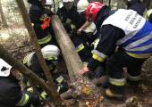 Stara Wieś – ćwiczenia gminne jednostek OSP