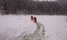 Powroźnik