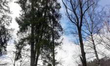 Krynica zdrój