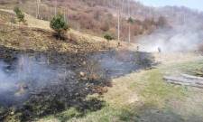Głebokie - pożar suchych traw