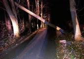 Stary Sącz, ul. Jana Pawła II- powalone drzewo nad drogą