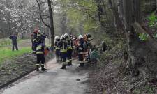 Barcice