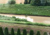 Opady deszczu nad Sądecczyzną