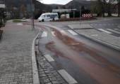 Plaga plam oleju na drogach 